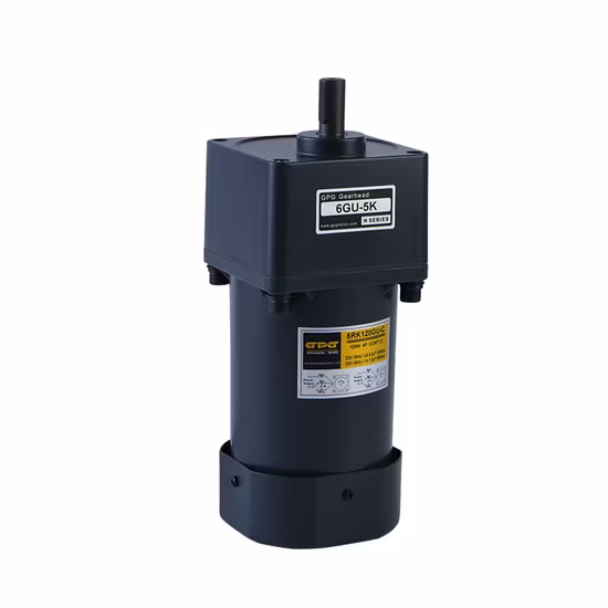 Gpg Vtv Pelletofen Brenner Kessel Dosierung Dosierpumpe Micro AC Reversibler Induktionsgetriebe-Untersetzungsmotor 4ik25gnc 8 U/min Yn80